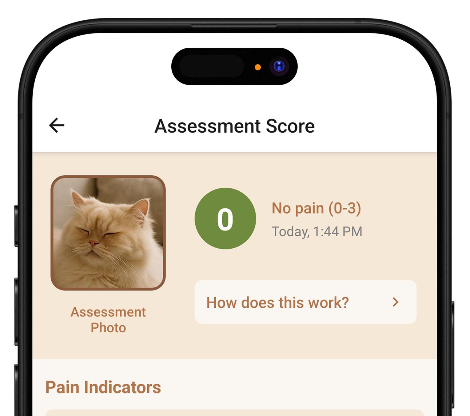 CatOK Cat Pain Scan App